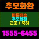 효사랑병원 | 나주효사랑병원장례식장 근조화환, 사랑을 전하는 당일 배송 서비스 완벽 가이드