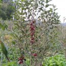 수덕농장 이미지