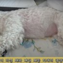 김진영내과 이미지