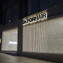 닥터포헤어 케어랩 강남 | 강남 닥터포헤어케어랩 헤어 로스 스파 건성 두피 관리 후기, 홈케어 제품 추천