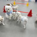 호두네 맡겨보개 이미지