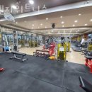 오렌지헬스&휘트니스 이미지