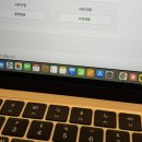 피자스쿨청양점 | 26년 5월 일상(2) | 행복이란 좋아하는 사람들과 낭비한 시간