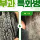 숲동물병원 이미지