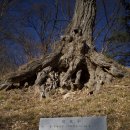 도청대로(북) | 마음이 심란할때 봉정사에 가다