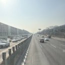 강남-004 | [놀거리일기.004] 에버랜드 3월 평일 자유이용권14,000원, 티익스프레스 대기10분 실화??? ( feat. 늙어...