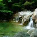 숲속작은개울 이미지