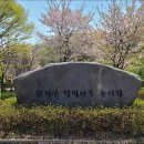 원적산공원 이미지