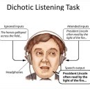 베이스피티 이미지