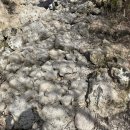 한라산백록담 | [제주도] 한라산 성판악 코스 등반후기 백록담 보고 온 현실 후기와 소요시간
