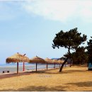 대광해수욕장 이미지