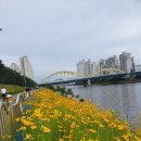 수영강변 이미지