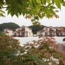 비단골관광농원 이미지