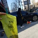 쥬라기동물병원 네이버블로그