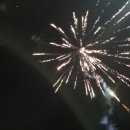 일등 행정사 사무소 이미지