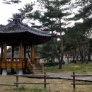 소나무숲 - 옹진군 영흥로685번길 72 | 소나무숲