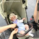 와이엠농장 | 베이비페어] 규모가 크진 않지만 알찼던 송도 베페 방문 후기와 어스본 블루래빗 와이엠마마 구매 목록