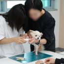 고진중학교 이미지