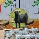 천금농장 이미지