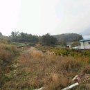 카카오부동산공인중개사사무소 이미지