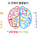 쾰른피아노음악학원 이미지