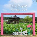 홍련산의공원-1 | 함안연꽃테마공원 아라홍련 개화 시기 &amp; 포토존 BEST 5 총정리