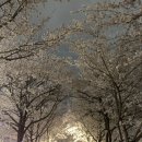주말 일상_(올림픽공원, 컨버스, 아그라, 파이프그라운드, 그로브스토어, 웻커피, 더현대서울, 아르켓)