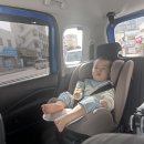 어린이 나라 | 아기랑 오키나와 어린이나라｜동물원 입장료·주차 솔직후기