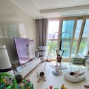 쌤트 이미지
