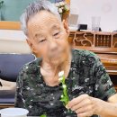 (주)참빛요양복지센터 | 참빛의 여름 일상 소식