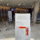 불타는 돈돼지