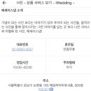 루시미오
