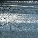 백곡쉼터 이미지