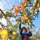 상훈축산 이미지
