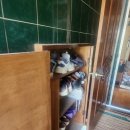 희봉위생공사 이미지