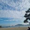 대교로2L 이미지