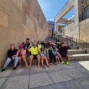 국가대표 Y-GYM 이미지