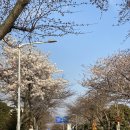 서호동-23 이미지