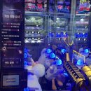 헌터독가