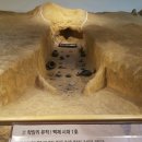 청양군백제문화체험박물관 이미지