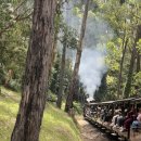 (주)행복나라여행사 | 호주 멜버른 근교여행 퍼핑빌리 조이투어 후기 오지나라투어 취소당한 썰