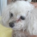 낙성대동-4 이미지