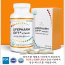 팜 라이프 이미지