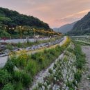 추억 만들기 캠핑장 이미지