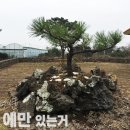 산들펜션 이미지