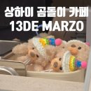 11620-25-13-1 | 상하이 2일차 | 우캉맨션 안푸로드 핫플 '13 DE MARZO' 곰돌이 카페 메뉴 &amp; 포토부스 솔직후기