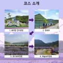 라벤더 | 무릉별유천지 라벤더 축제 실시간후기💜 보랏빛 물결에 빠진 하루