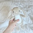 영주우체국 | 일상:: 말랑하니 신생아옷 선물, 가난통, 영주 부사, 더미식 장인라면, 피크민 11월 미션 완료