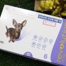 석바위하나약국 이미지