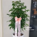 광교웰빙국민체육센터 이미지